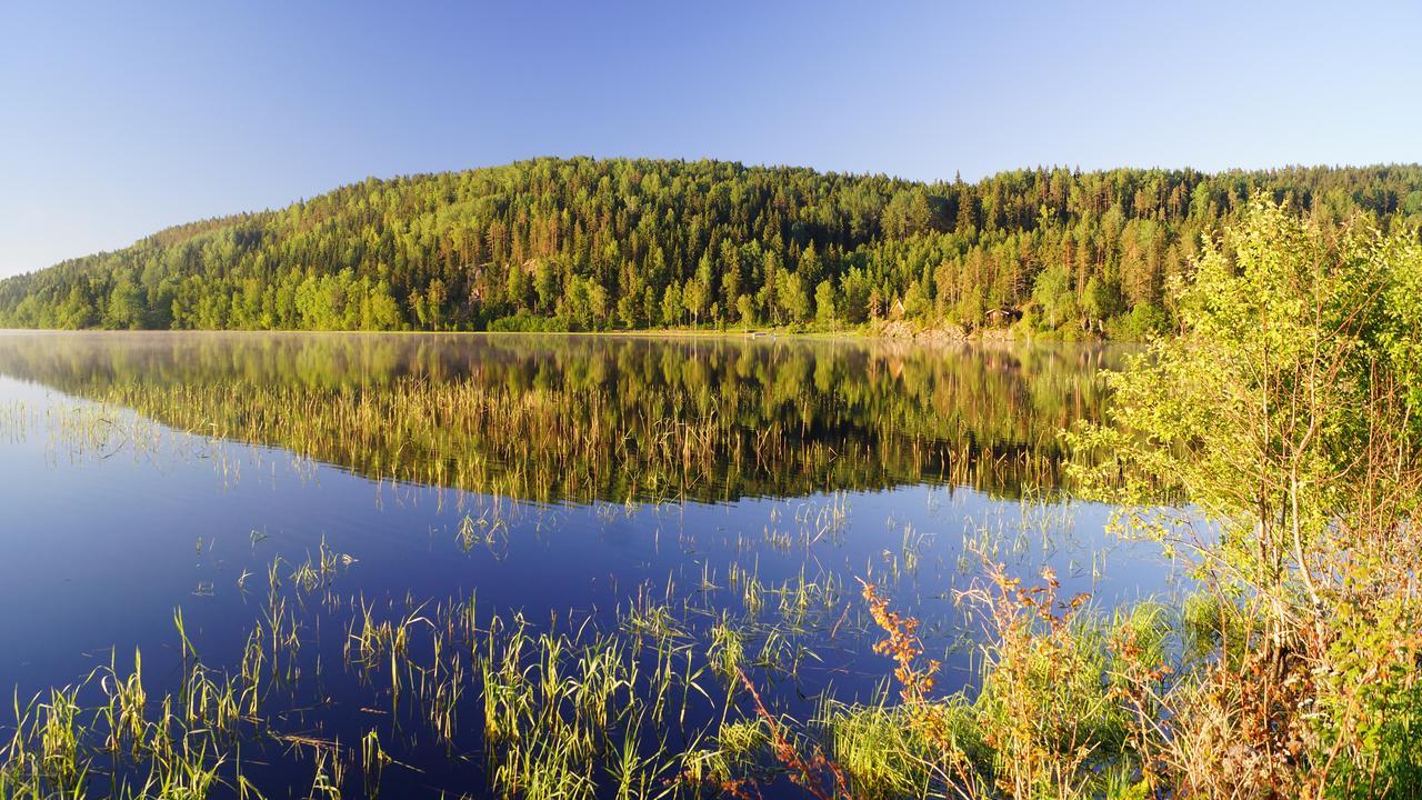 Gourmet Hotel Wild Chocolate Szortavala Kültér fotó